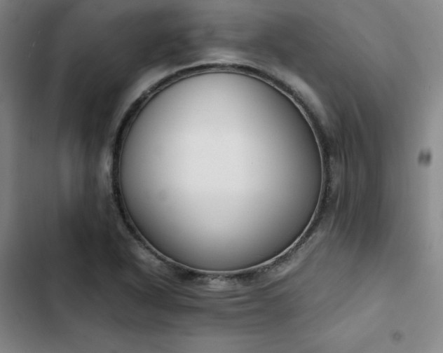 X0000102861318200808251217