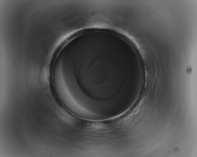 X0000102861319200808251217