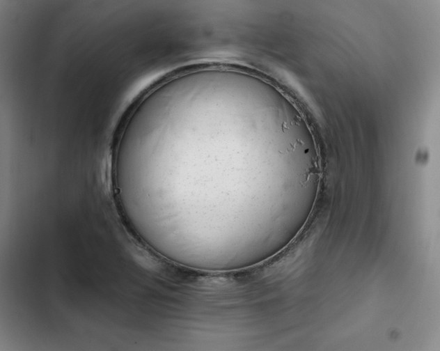 X0000102861320200808251217