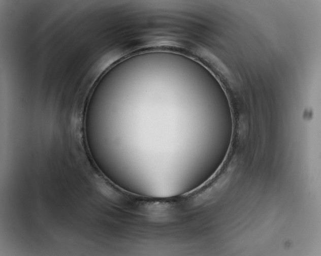 X0000102861321200808251217