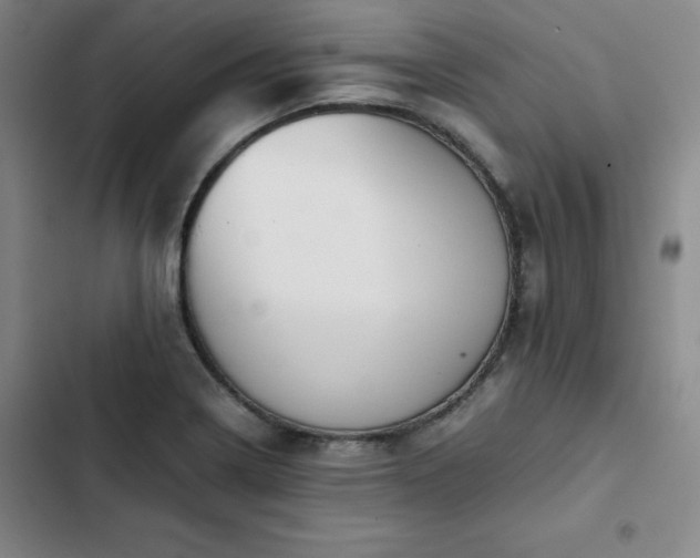 X0000102861322200808251217