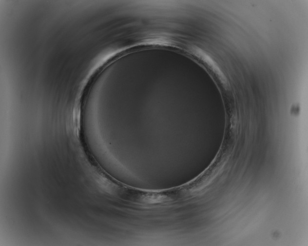 X0000102861323200808251217