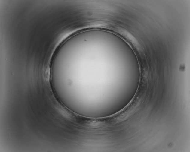 X0000102861324200808251217