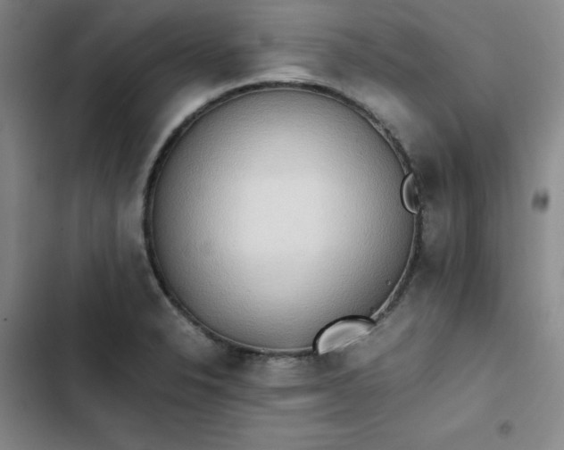 X0000102861326200808251217