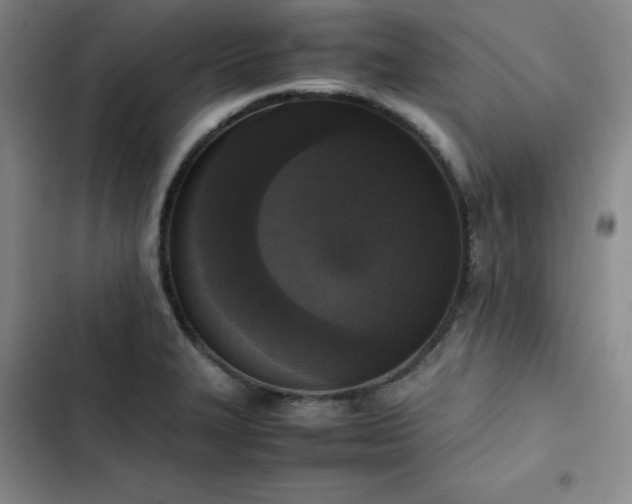 X0000102861327200808251217