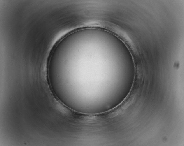 X0000102861328200808251217