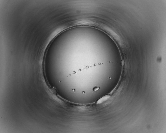 X0000102861330200808251217