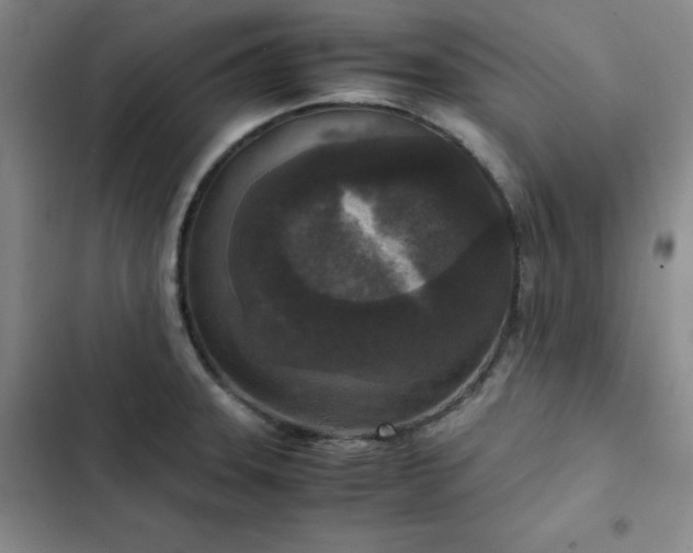 X0000102861331200808251217