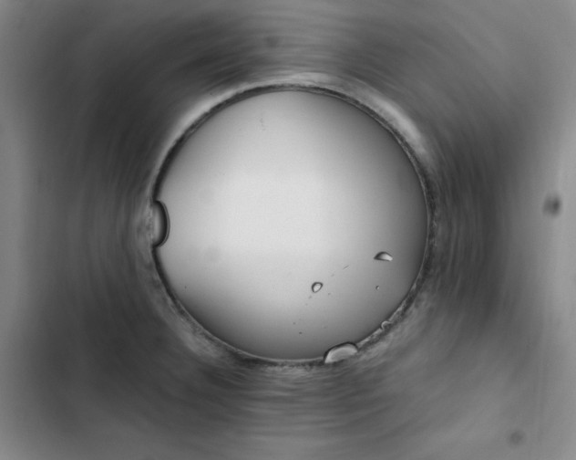 X0000102861332200808251217