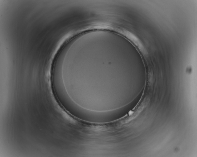 X0000102861334200808251217