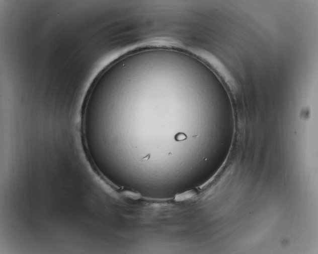 X0000102861335200808251217