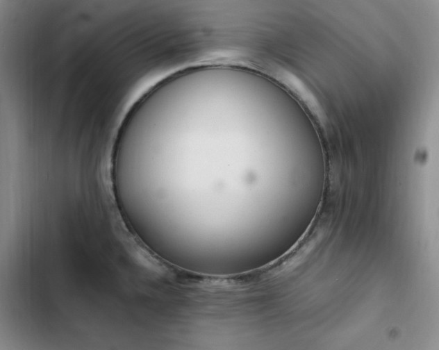 X0000102861336200808251217