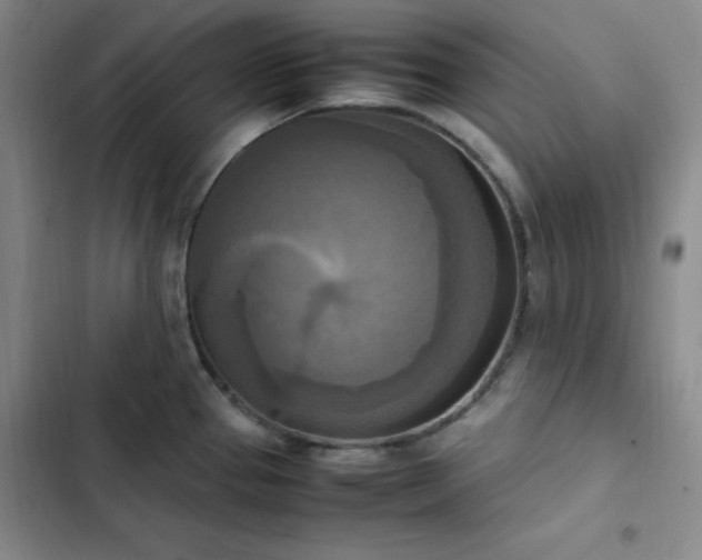 X0000102861337200808251217