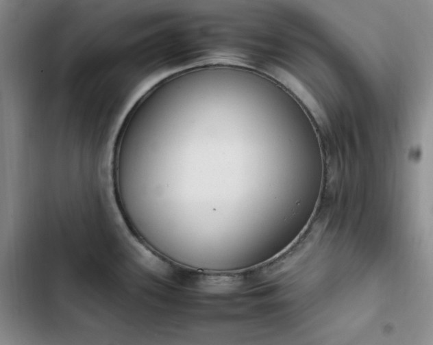 X0000102861339200808251217