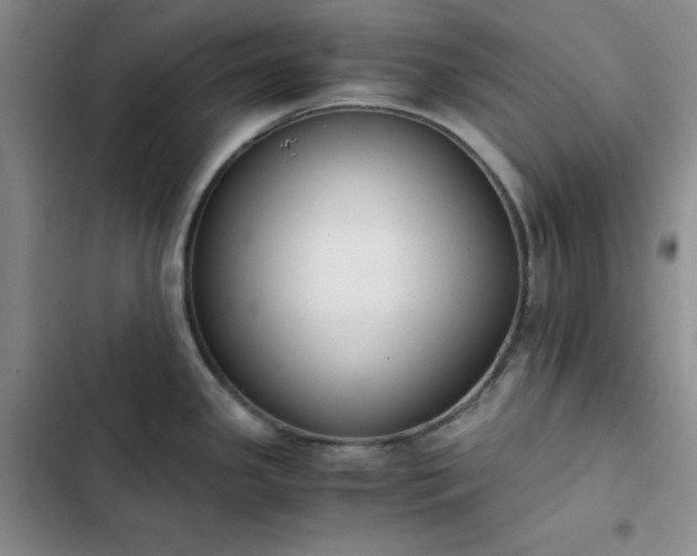 X0000102861341200808251217