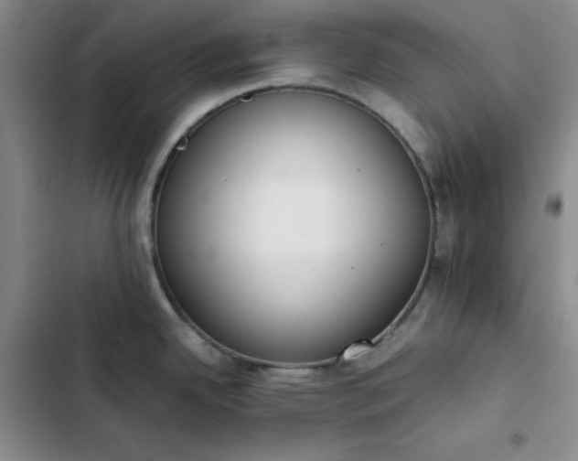 X0000102861342200808251217