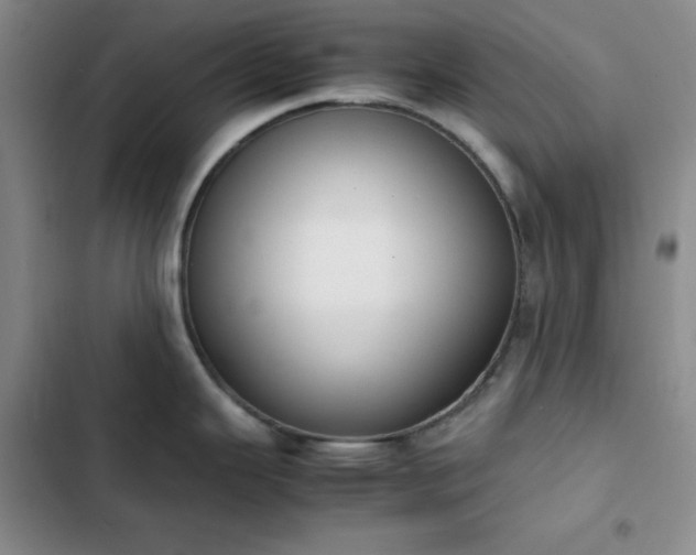 X0000102861343200808251217