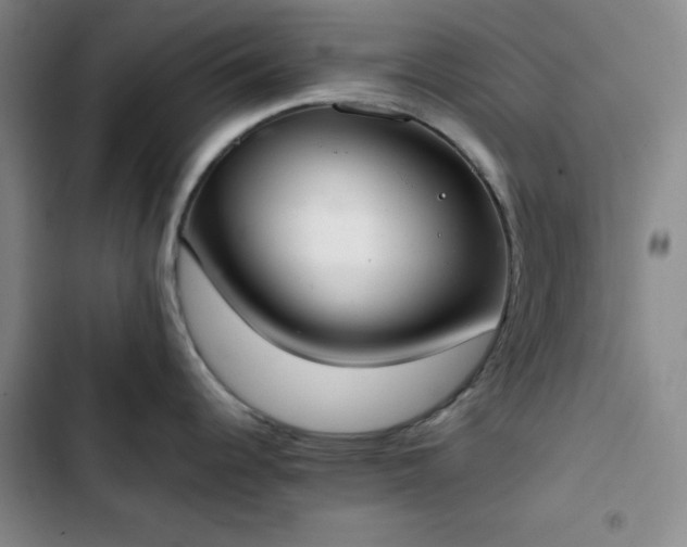 X0000102861344200808251217