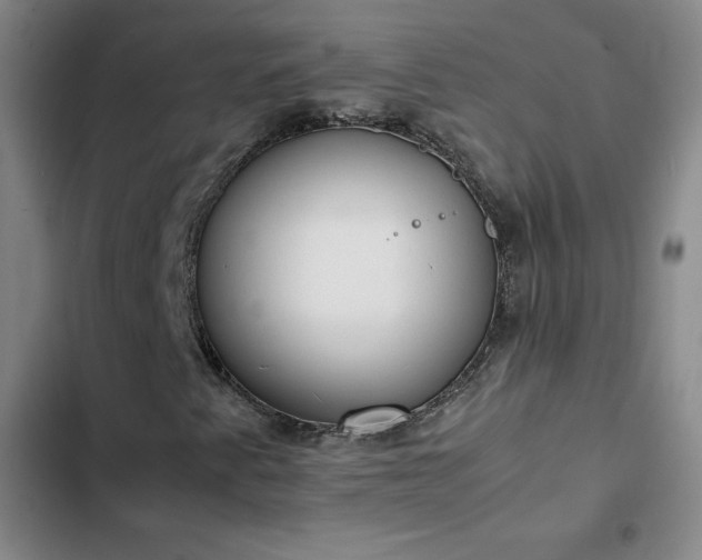 X0000102861345200808251216