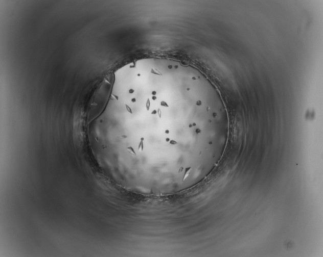 X0000102861346200808251216