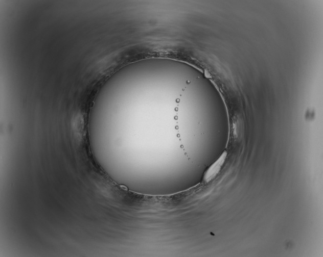 X0000102861347200808251216