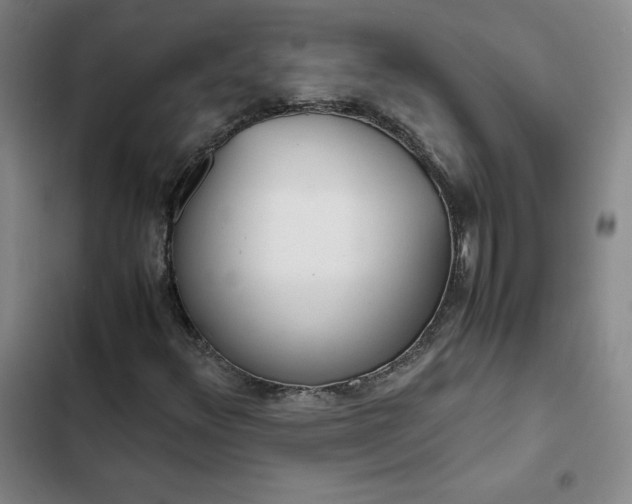 X0000102861348200808251216