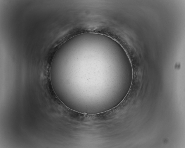 X0000102861349200808251216