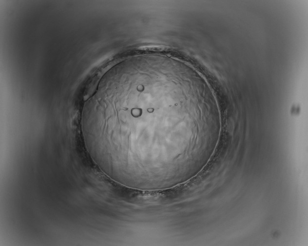 X0000102861351200808251216