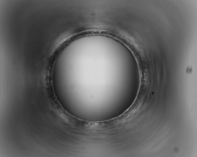 X0000102861352200808251216