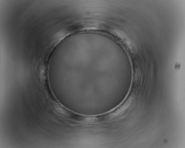 X0000102861353200808251216