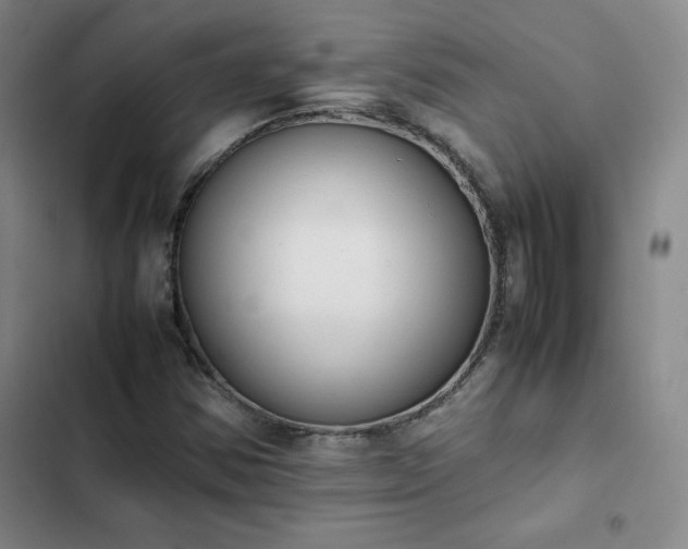 X0000102861354200808251216