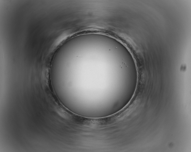 X0000102861355200808251216