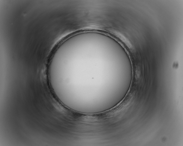 X0000102861356200808251216