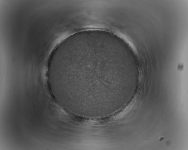 X0000102861357200808251216