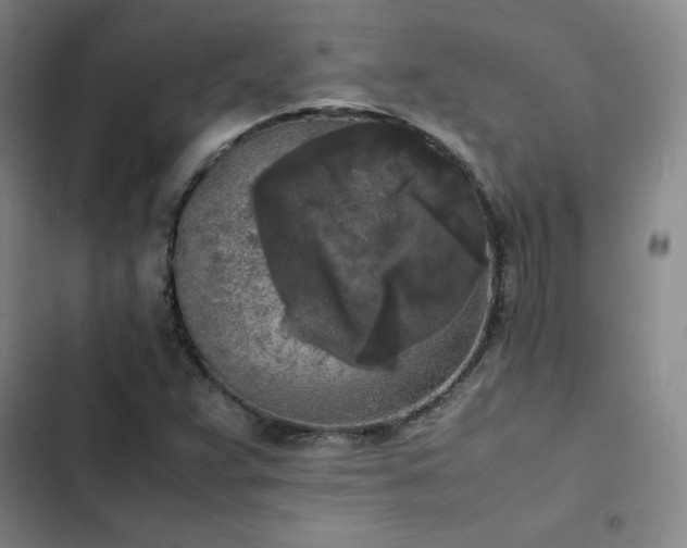 X0000102861359200808251216