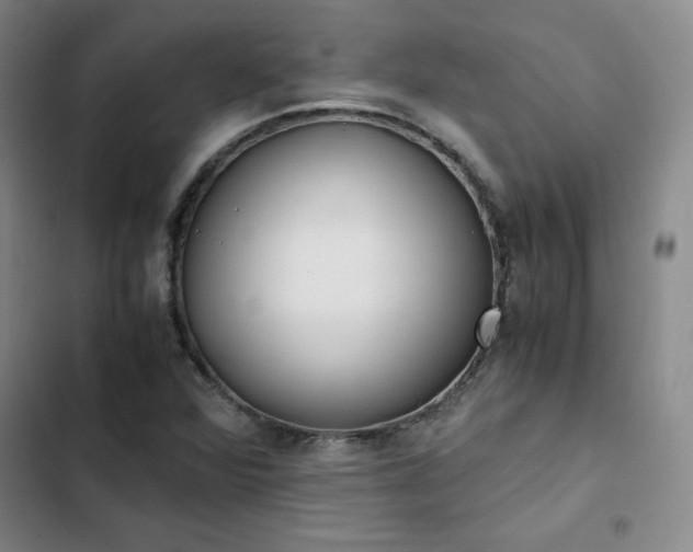 X0000102861360200808251216