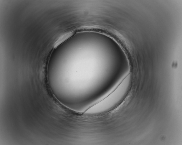 X0000102861361200808251216