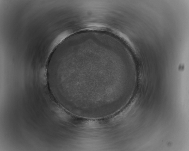 X0000102861362200808251216