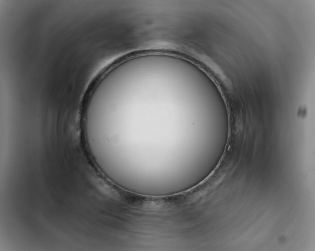 X0000102861364200808251216