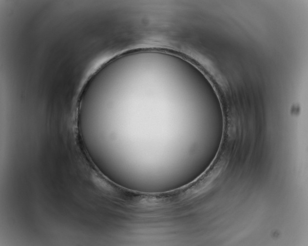 X0000102861366200808251216