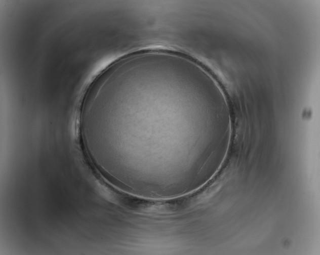 X0000102861367200808251216