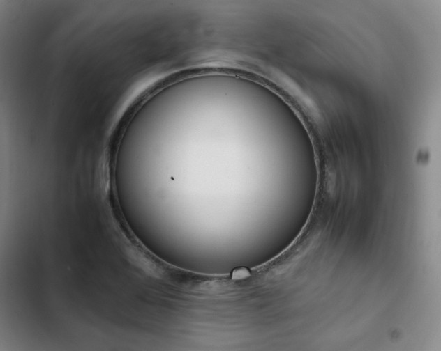 X0000102861368200808251216