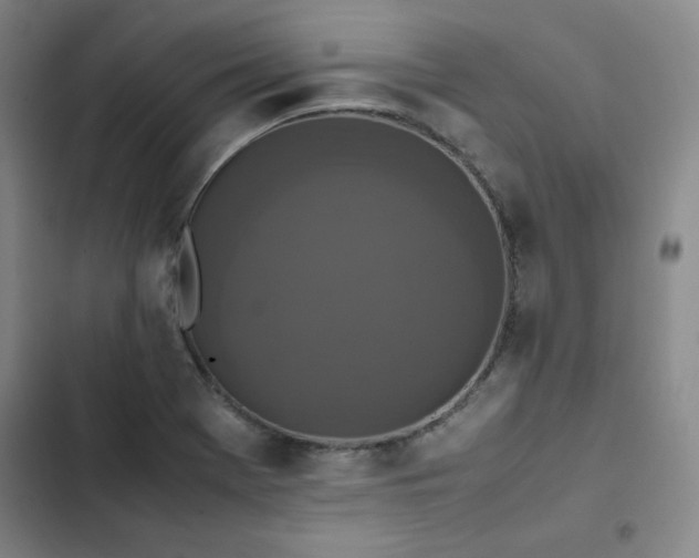 X0000102861369200808251216