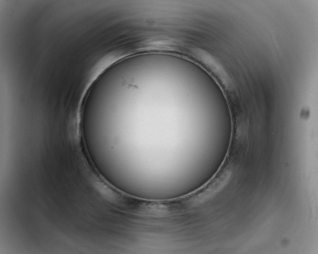 X0000102861370200808251216