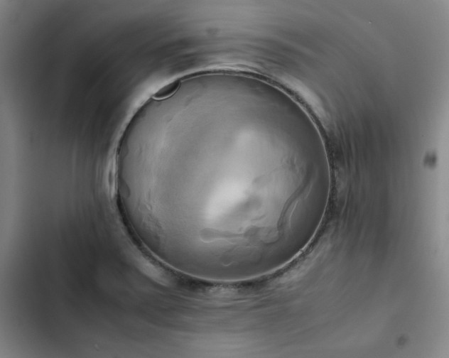 X0000102861371200808251216