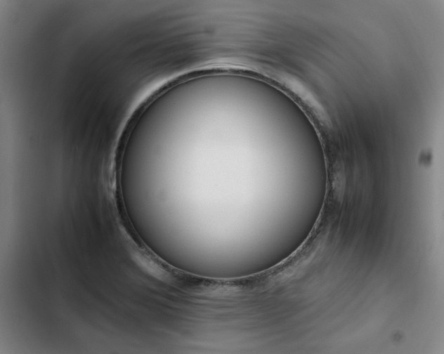 X0000102861372200808251216