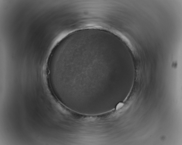 X0000102861373200808251216