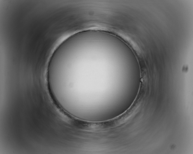 X0000102861375200808251216