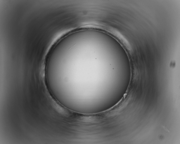 X0000102861376200808251216