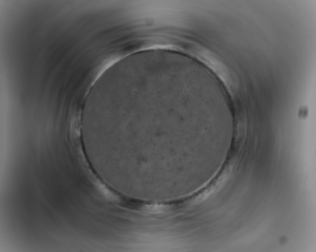 X0000102861377200808251216